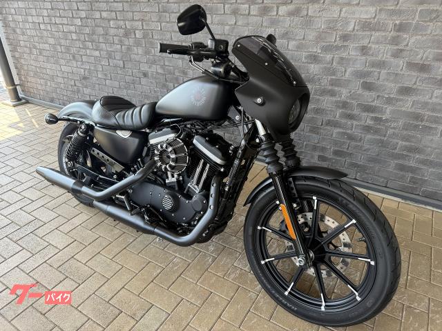 ＨＡＲＬＥＹ－ＤＡＶＩＤＳＯＮ ＸＬ８８３Ｎ アイアン アレンネスＡ