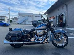 ＨＡＲＬＥＹ−ＤＡＶＩＤＳＯＮ　ＦＬＳＴＳＣ　スプリンガークラシック