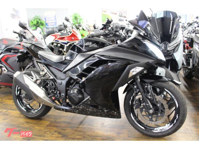 Ｎｉｎｊａ　２５０　バックステップ　ＵＳＢ電源　スマホホルダー装備