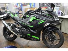 カワサキ　Ｎｉｎｊａ　２５０　スマートキーモデル　ビームス製マフラー　ＥＴＣ＆ＵＳＢ装備済み