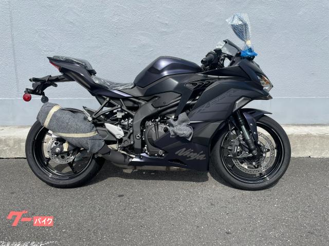 Ｎｉｎｊａ　ＺＸ−２５Ｒ　ＳＥ