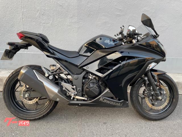 Ｎｉｎｊａ　２５０　１オーナー　ＥＴＣ付