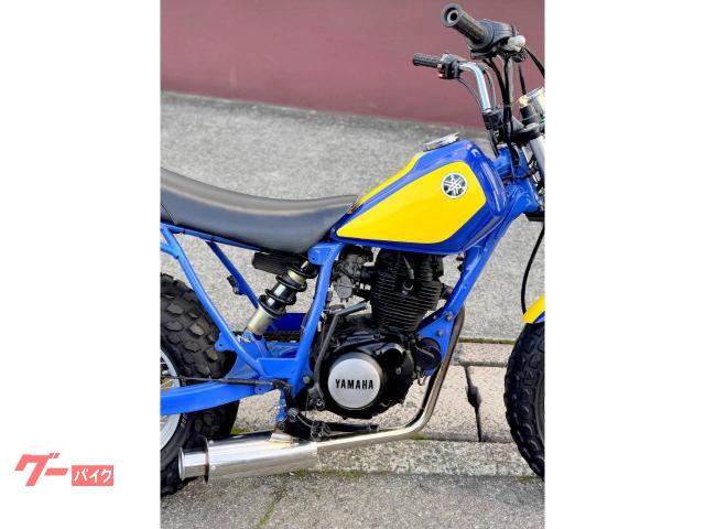 ヤマハ TW200昭和トラッカー ビンテージ初期型スカチューン