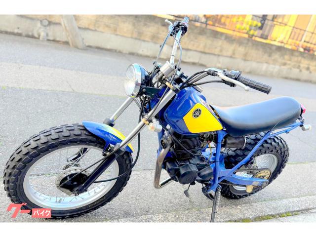 ヤマハ TW200昭和トラッカー ビンテージ初期型スカチューン