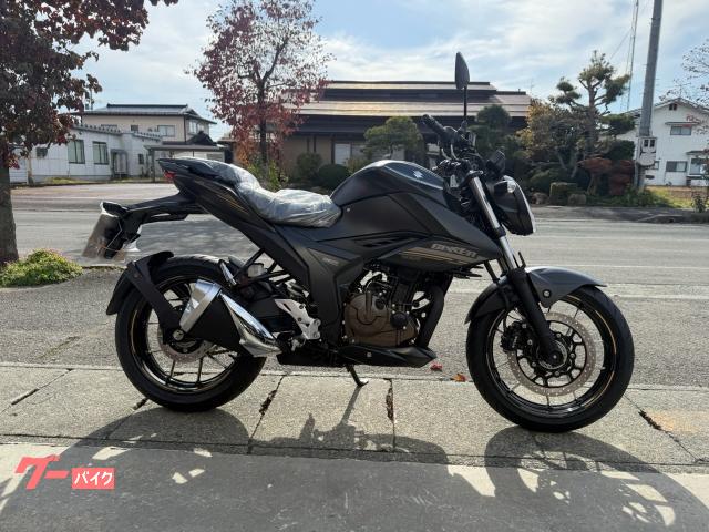 ＧＩＸＸＥＲ　２５０
