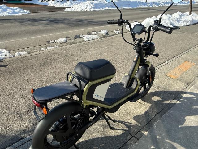 電動スクーター 電動スクーター 電動スクーター プロトPEV600｜（株