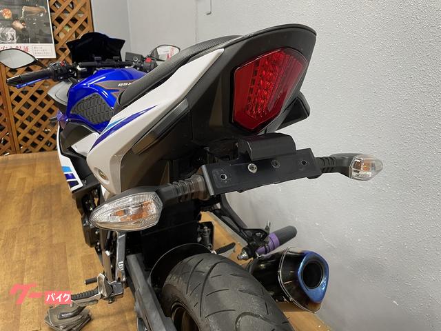 スズキ GSX250R アールズギア製スリップオンマフラー