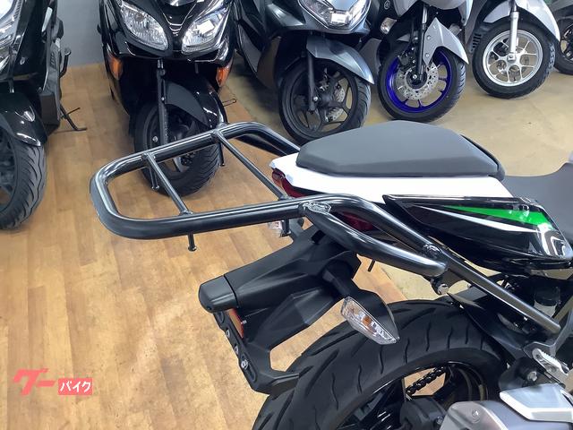 カワサキ Z250 2019年モデル ローダウン リアキャリア装備 カワサキ Z250 2019年モデル ローダウン リアキャリア装備