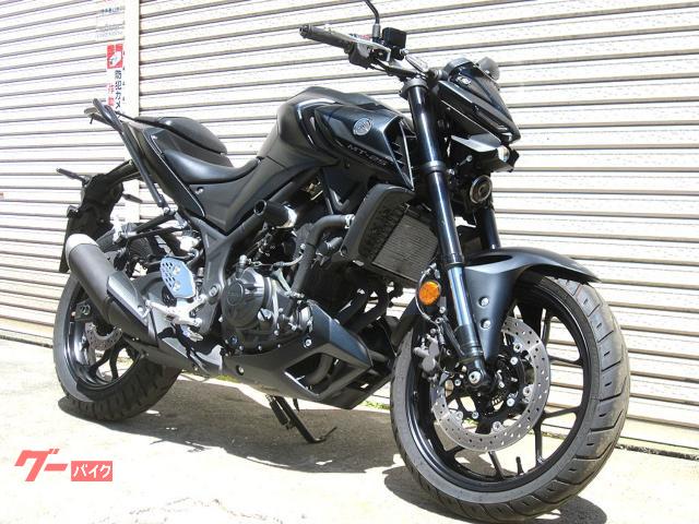 ＭＴ−２５　ＡＢＳ　２０２１年モデル　ノーマル車　ＲＧ４３Ｊ　エンデュランスリアキャリア　アグラススライダー　ヤマハ純正キー２本