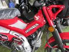 ホンダ ＣＴ１２５ハンターカブの画像（新潟県