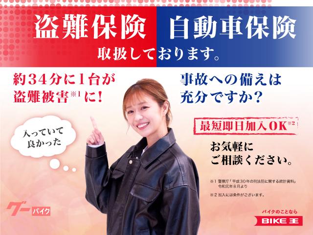 Honda CL250 2024 — миниатюра 4