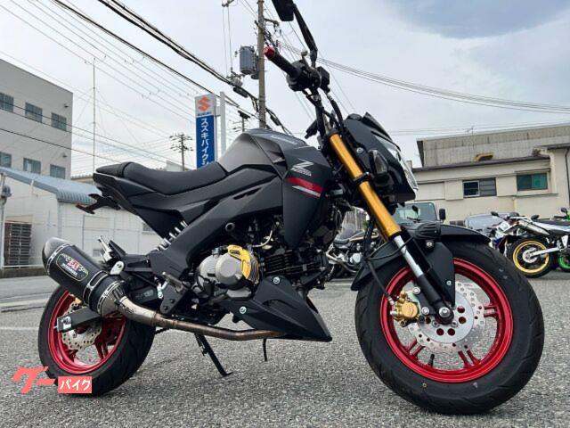 Ｚ１２５ＰＲＯ　ヨシムラフルエキ　フォグランプ　フェンレス　カスタム