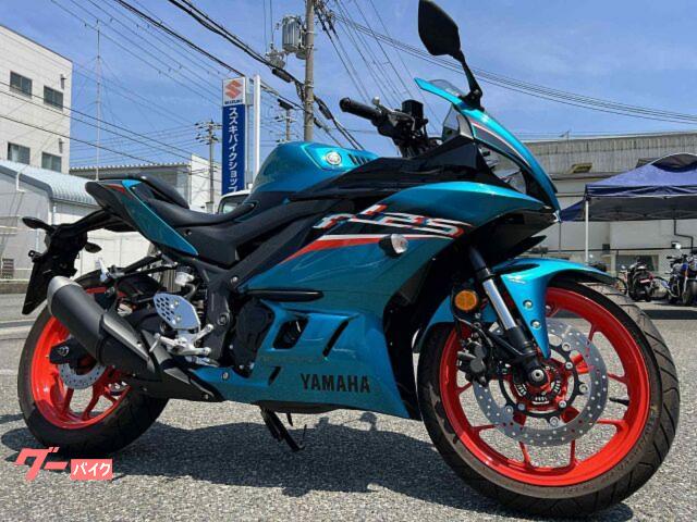 ＹＺＦ−Ｒ２５　国内正規モデル　ＡＢＳ　ドライブレコーダー　マルチバー　ＵＳＢ電源