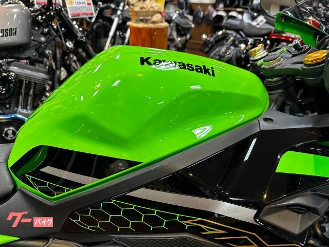 カワサキ Ninja ZX－25R SE 蜂の巣カラー トリックスター