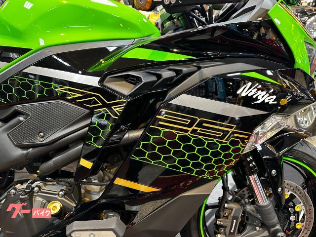 カワサキ Ninja ZX－25R SE 蜂の巣カラー トリックスター