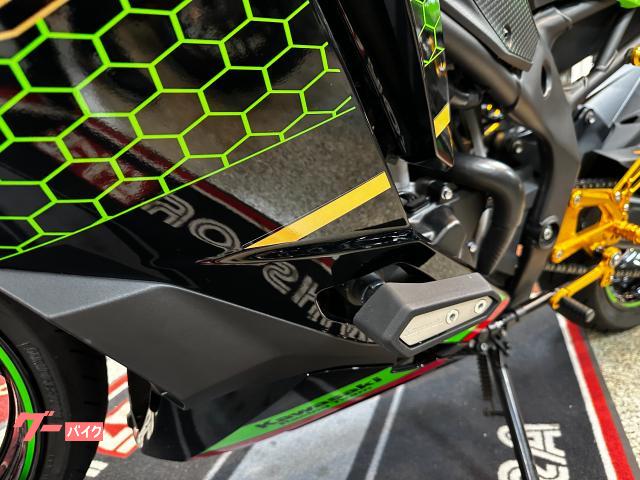 カワサキ Ninja ZX－25R SE 蜂の巣カラー トリックスター