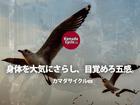 ヤマハ ビーノ　２０２３年モデル　アイドリングストップ付きの画像（秋田県