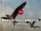ホンダ クロスカブ５０　マットアーマードグリーンメタリックの画像（秋田県