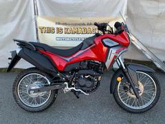 ホンダ　ＣＲＦ１９０Ｌ　インポートモデル　ＣＲＦ１９０Ｌ　サンディロホンダ　３年保証付