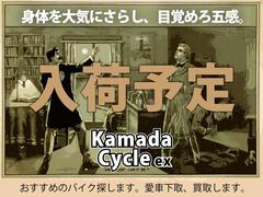カワサキ　ＫＬＸ１２５　リヤキャリア付き　ファイナルモデル