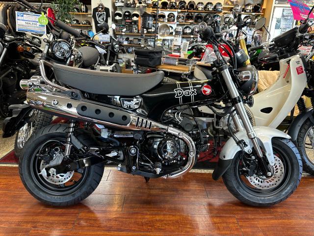 ホンダ ダックス125 JB06 NEWカラー パールシャイニング