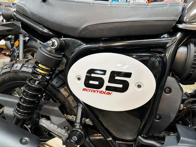 BSA 650 NEW DOHC USB ABS 3 — миниатюра 6