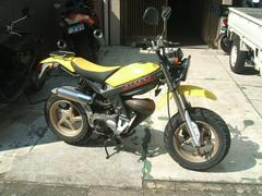 スズキ　ストリートマジック５０II