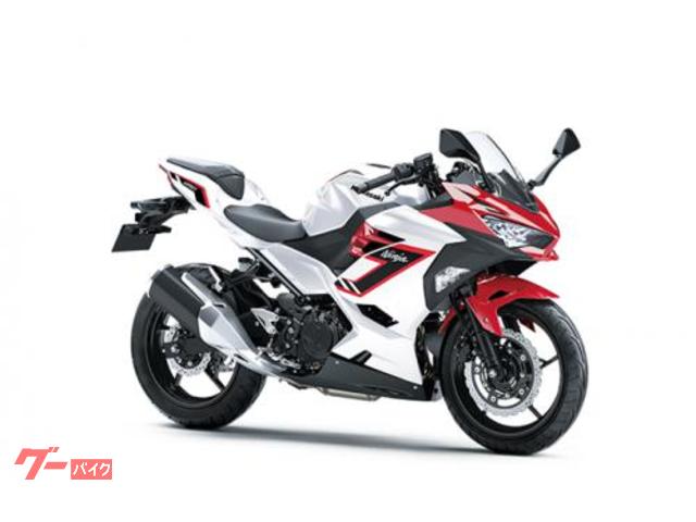 Ｎｉｎｊａ　２５０　２０２６年モデル