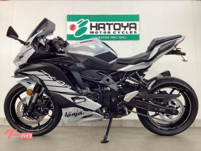 ほわわさん専用  31日までお取置き 4/5まで商談中! 取り置き! Ninja ZX-4Rシリーズの受付に関して [最新