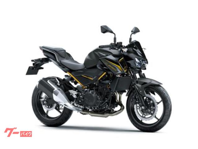 Ｚ２５０　２０２７年モデル