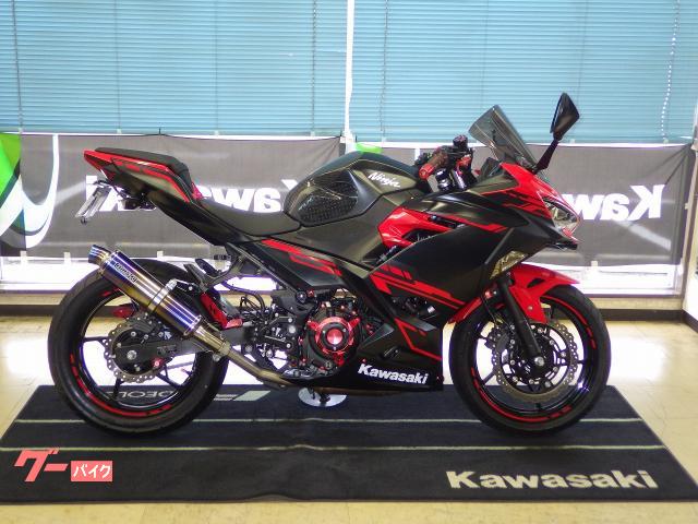 Ｎｉｎｊａ　２５０　ＦＩ仕様　ＢＭＳ−ＲＳ／Ｏマフラー　バックステップ　大型セミスモークシールド