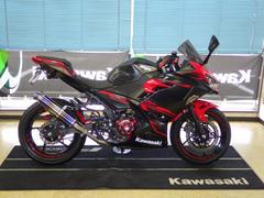 カワサキ　Ｎｉｎｊａ　２５０　ＦＩ仕様　ＢＭＳ−ＲＳ／Ｏマフラー　バックステップ　大型セミスモークシールド