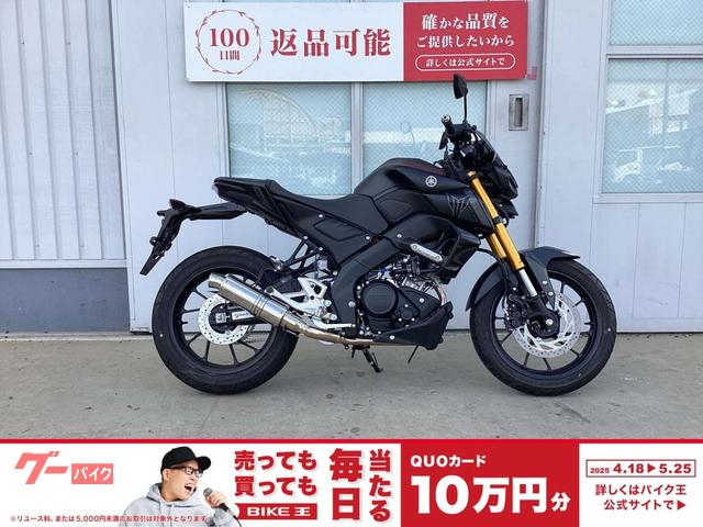 ＭＴ−１２５　ＡＢＳ　スクリーン装備