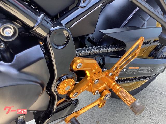 カワサキ Z900RS 50thアニバーサリー モリワキ