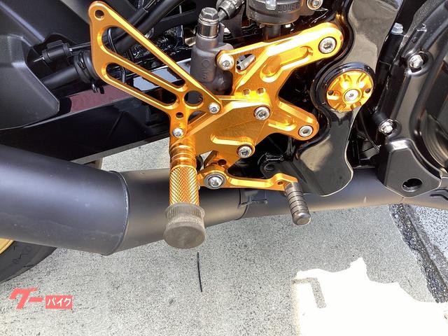 カワサキ Z900RS 50thアニバーサリー モリワキ