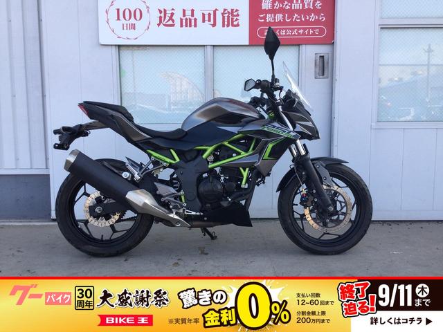Ｚ２５０ＳＬ　スクリーン装備　２０１７年モデル