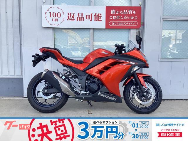 Ｎｉｎｊａ　２５０　２０１６年モデル　マルチバー