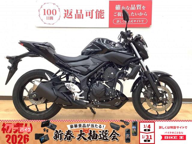 MT−25 2017年モデル ローダウン レバーカスタム