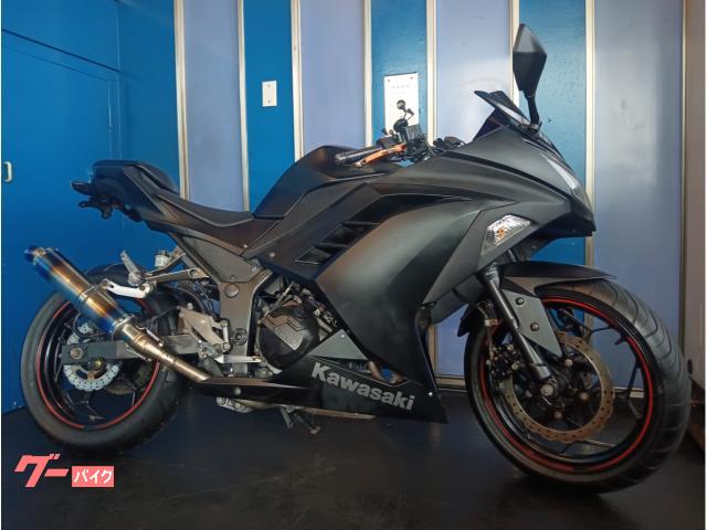 Ｎｉｎｊａ　２５０