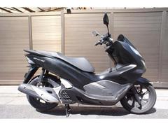 ホンダ　ＰＣＸ　ＪＦ８１　ノーマル