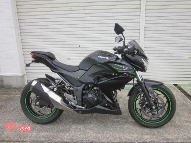 Ｚ２５０