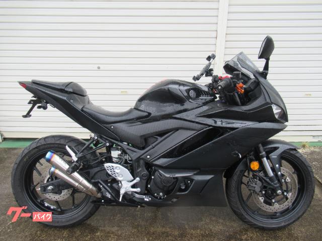 ＹＺＦ−Ｒ２５　社外マフラー　ヘルメットホルダー　ＵＳＢ電源付