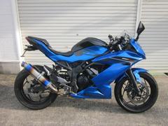 カワサキ　Ｎｉｎｊａ　２５０ＳＬ　社外マフラー付