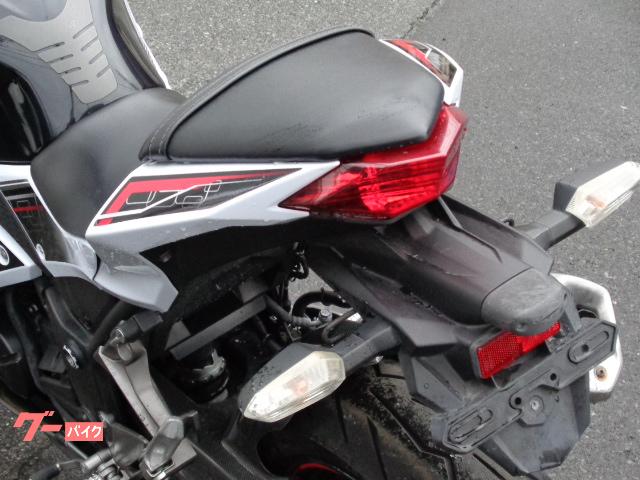 [200712-04出品]アマノジャクシ 通販 カワサキ Ninja 250 ABS スペシャルエディション