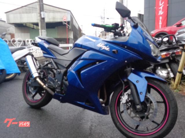 Ｎｉｎｊａ　２５０Ｒ