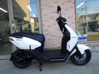 �ɣãϣΡ��塧�ѡ��륹�Ρ��ե졼���ۥ磻��