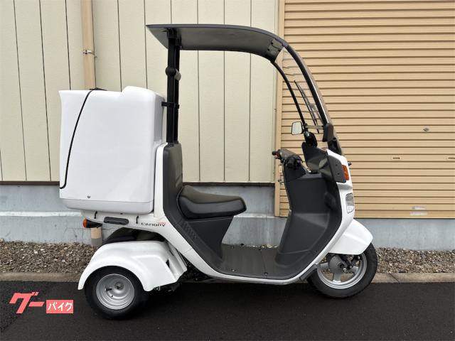 ジャイロキャノピー　２０２０年式　スマホバー　ティーズプロダクツボックス付　４サイクル　インジェクション