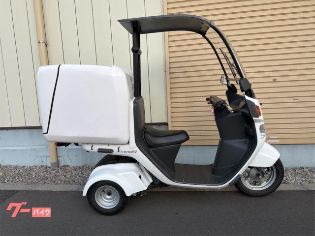 ジャイロキャノピー 2022 年式 ラージボックス スマホバー 4サイクル インジェクション