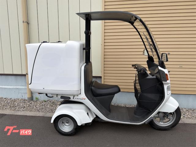 ジャイロキャノピー　　２０１８年式　インナーバスケット　ティーズプロダクツ大型ボックス　４サイクル　インジェクション