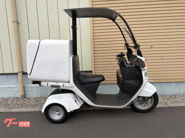 ジャイロキャノピー　２０２１年式　ＬＥＤライト　インナーバスケット　ドライブレコーダー　ボックス　４サイクル　グリップヒーター